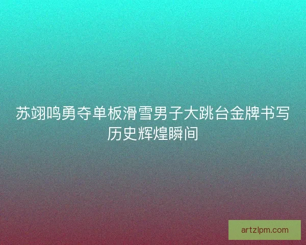 苏翊鸣勇夺单板滑雪男子大跳台金牌书写历史辉煌瞬间